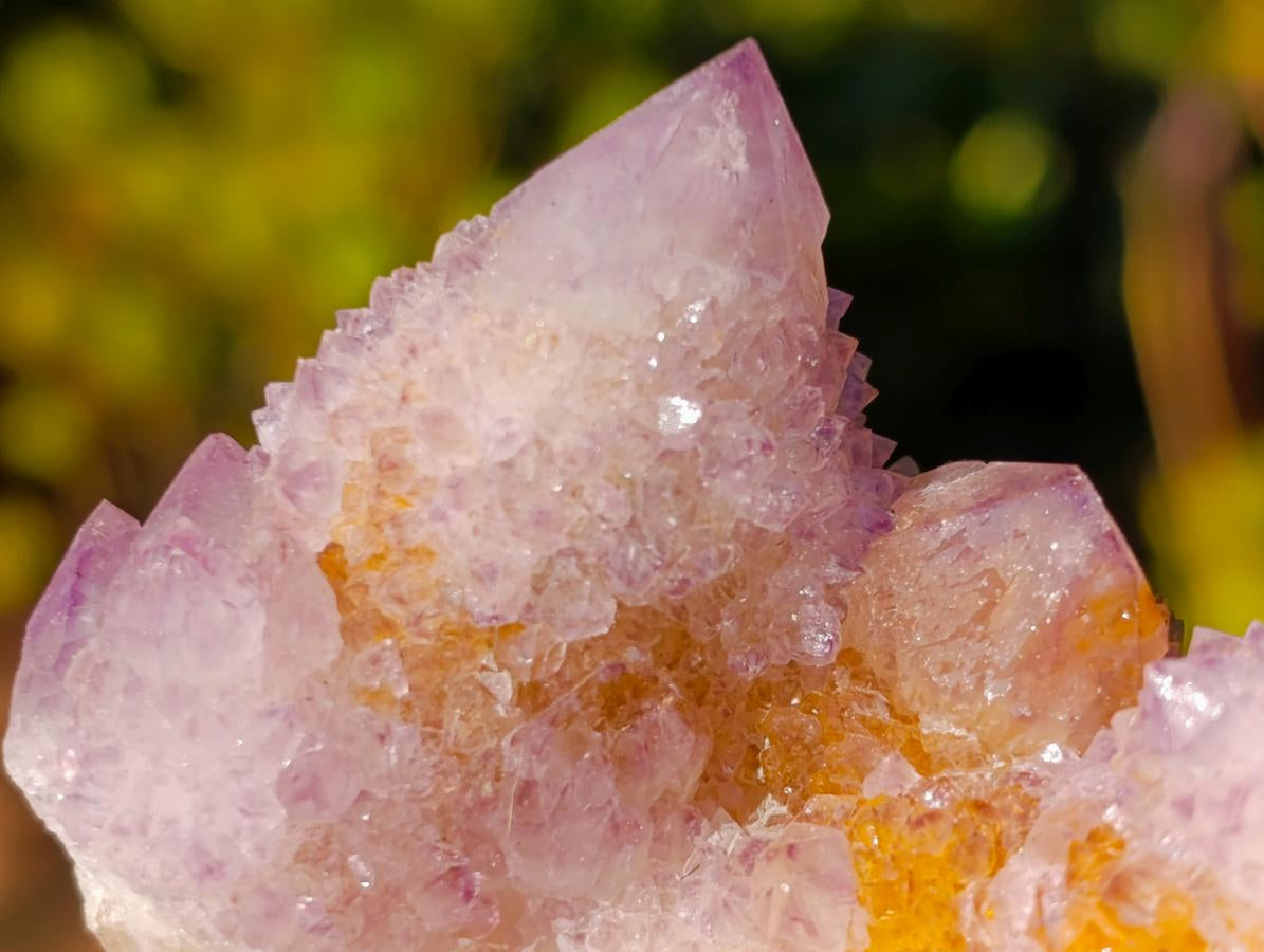 Natural Spirit Ametrine Clusters x 6 From Boekenhouthoek, South Africa - Toprock Gemstones and Minerals 