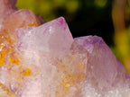 Natural Spirit Ametrine Clusters x 6 From Boekenhouthoek, South Africa - Toprock Gemstones and Minerals 
