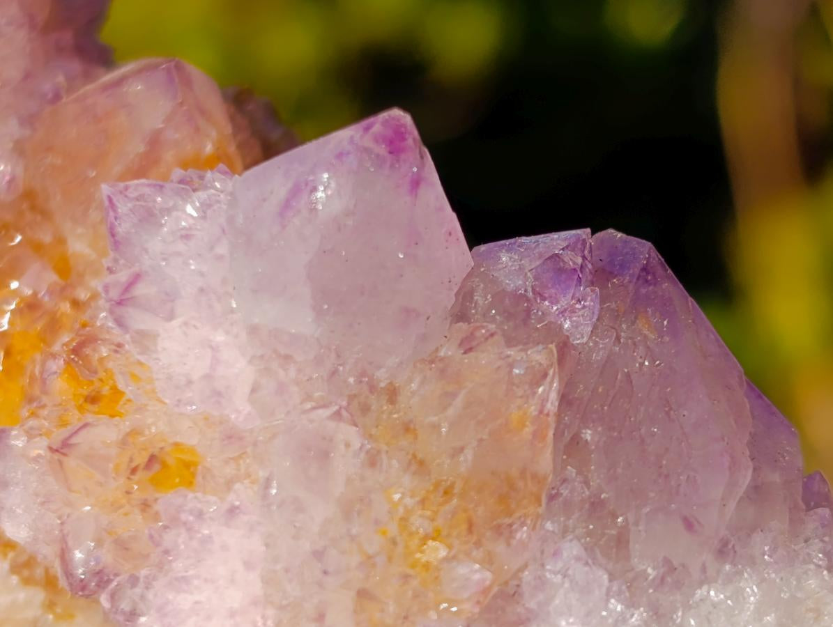 Natural Spirit Ametrine Clusters x 6 From Boekenhouthoek, South Africa - Toprock Gemstones and Minerals 
