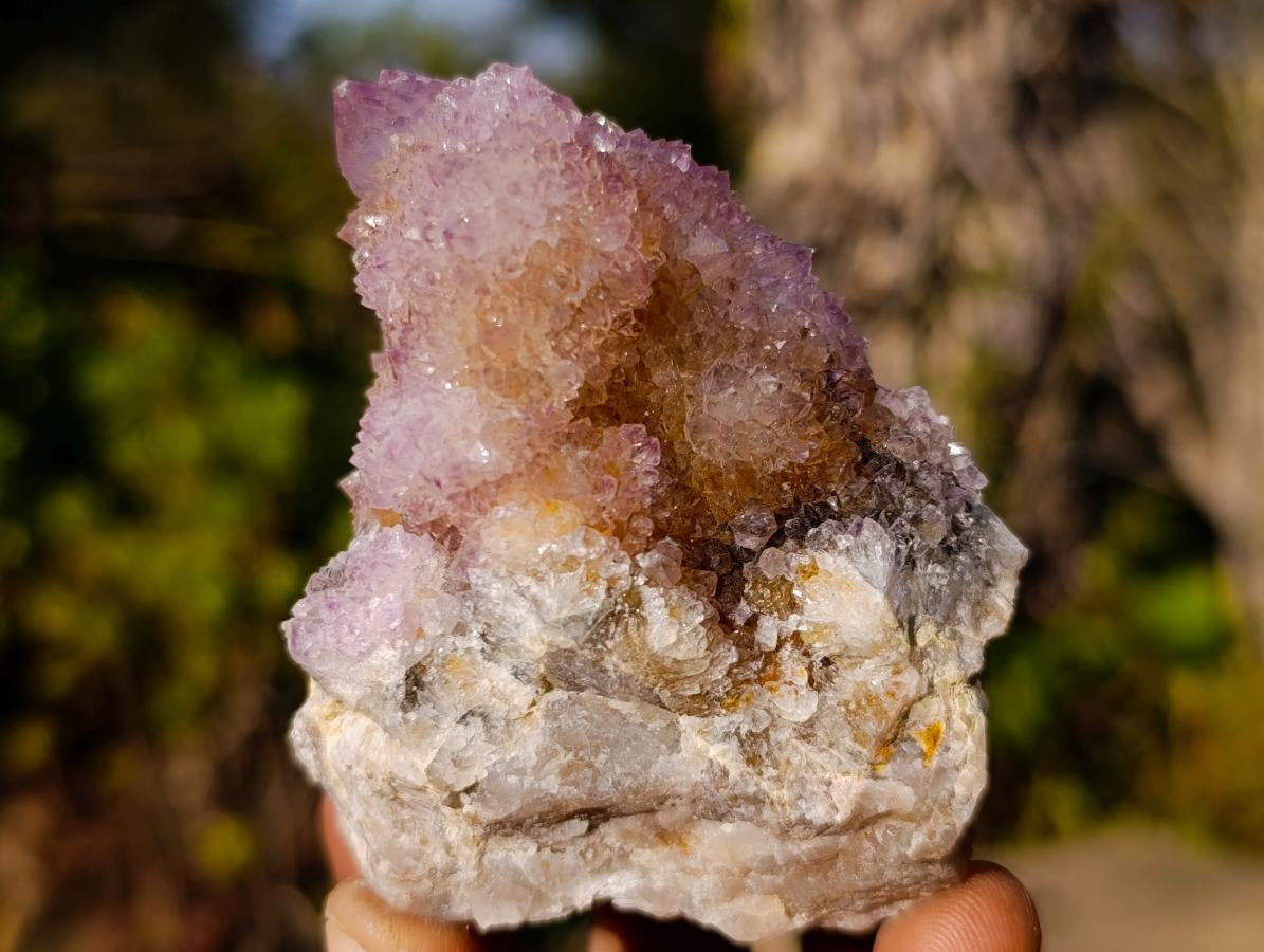 Natural Spirit Ametrine Clusters x 6 From Boekenhouthoek, South Africa - Toprock Gemstones and Minerals 