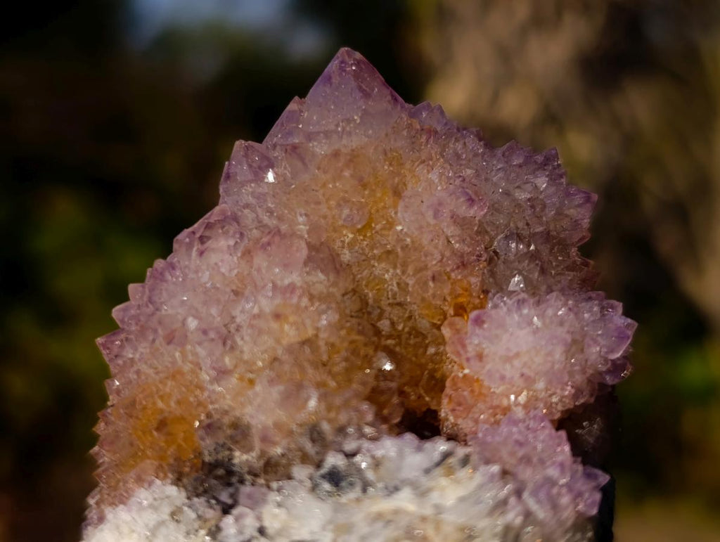 Natural Spirit Ametrine Clusters x 6 From Boekenhouthoek, South Africa - Toprock Gemstones and Minerals 