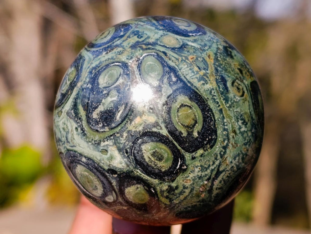 Polished Stromatolite "Kambaba Jasper" Mushrooms x 6 From Katsepy, Madagascar - Toprock Gemstones and Minerals 