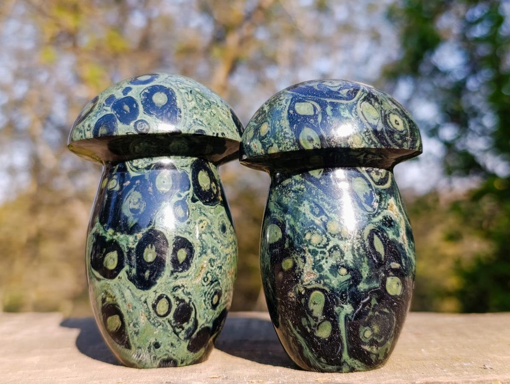 Polished Stromatolite "Kambaba Jasper" Mushrooms x 6 From Katsepy, Madagascar - Toprock Gemstones and Minerals 