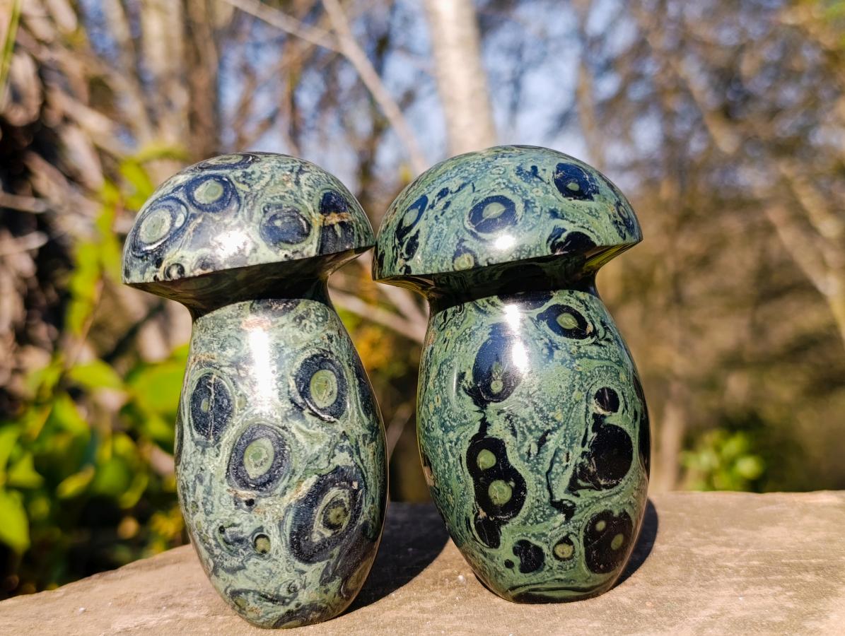 Polished Stromatolite "Kambaba Jasper" Mushrooms x 6 From Katsepy, Madagascar - Toprock Gemstones and Minerals 