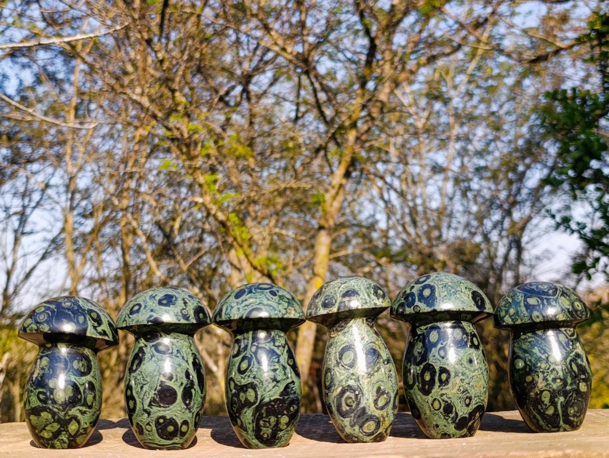 Polished Stromatolite "Kambaba Jasper" Mushrooms x 6 From Katsepy, Madagascar - Toprock Gemstones and Minerals 