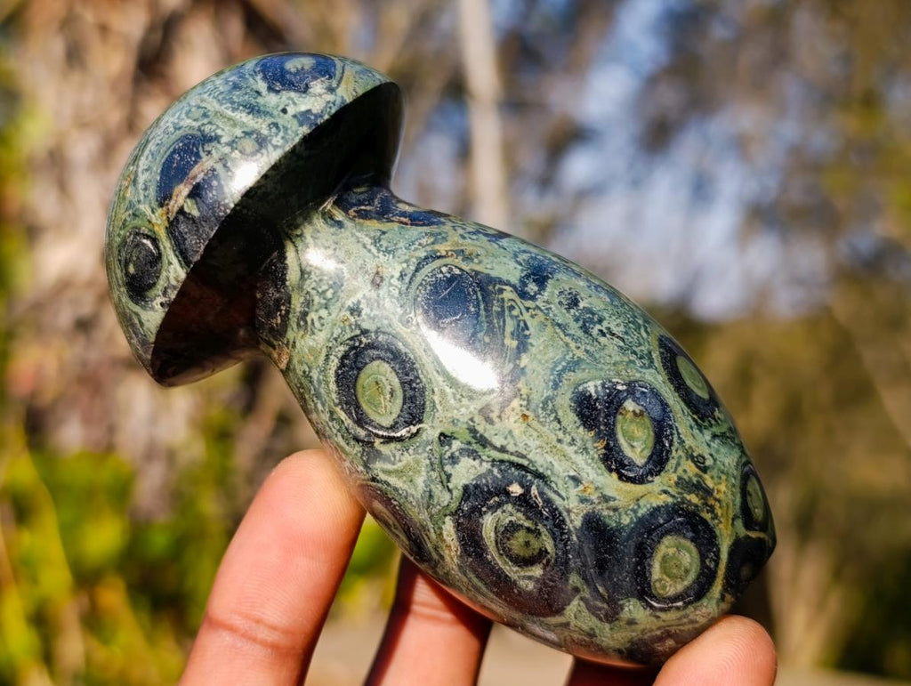 Polished Stromatolite "Kambaba Jasper" Mushrooms x 6 From Katsepy, Madagascar - Toprock Gemstones and Minerals 