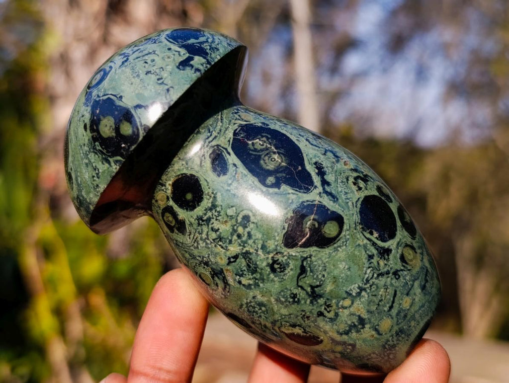 Polished Stromatolite "Kambaba Jasper" Mushrooms x 6 From Katsepy, Madagascar - Toprock Gemstones and Minerals 