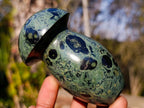 Polished Stromatolite "Kambaba Jasper" Mushrooms x 6 From Katsepy, Madagascar - Toprock Gemstones and Minerals 