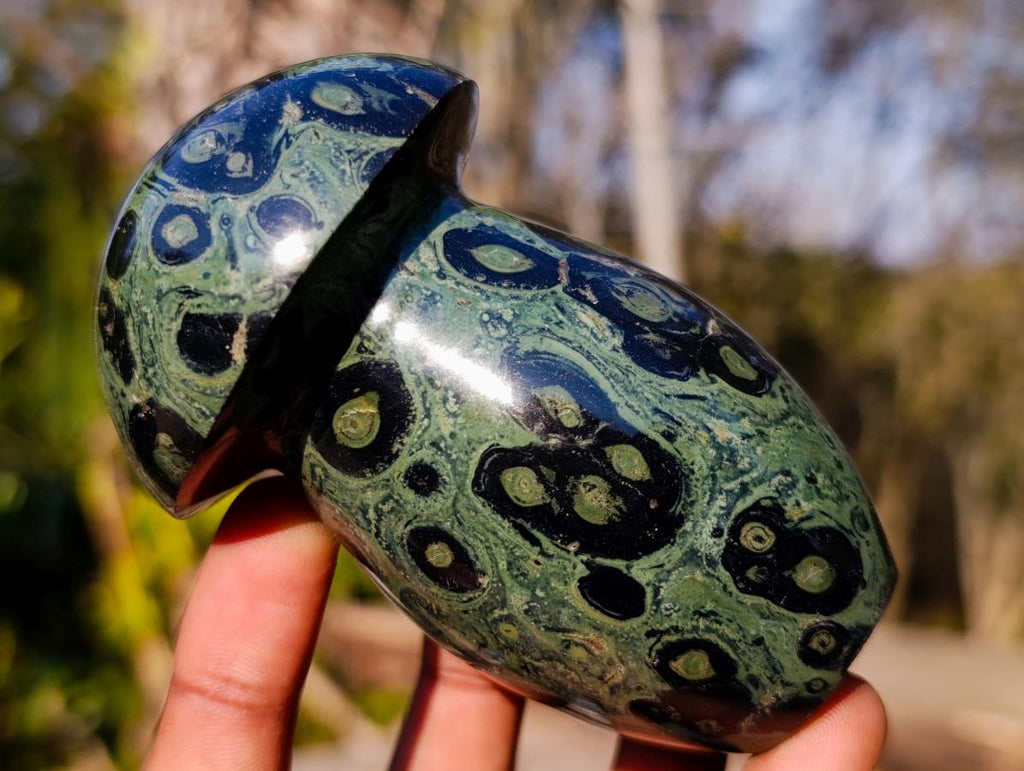 Polished Stromatolite "Kambaba Jasper" Mushrooms x 6 From Katsepy, Madagascar - Toprock Gemstones and Minerals 