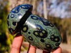 Polished Stromatolite "Kambaba Jasper" Mushrooms x 6 From Katsepy, Madagascar - Toprock Gemstones and Minerals 