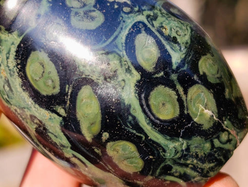 Polished Stromatolite "Kambaba Jasper" Mushrooms x 6 From Katsepy, Madagascar - Toprock Gemstones and Minerals 