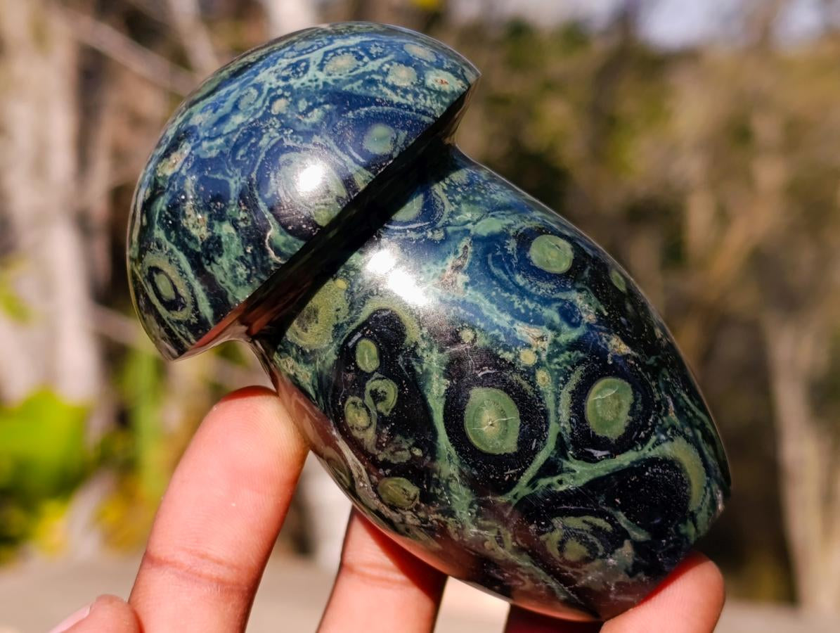 Polished Stromatolite "Kambaba Jasper" Mushrooms x 6 From Katsepy, Madagascar - Toprock Gemstones and Minerals 
