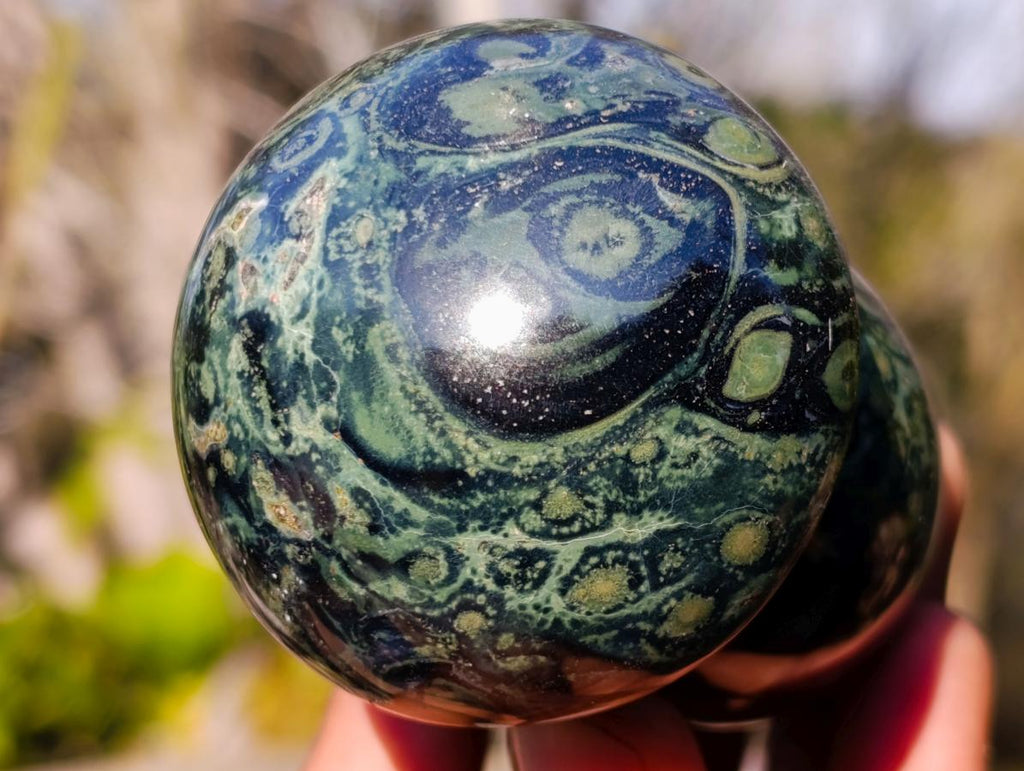 Polished Stromatolite "Kambaba Jasper" Mushrooms x 6 From Katsepy, Madagascar - Toprock Gemstones and Minerals 