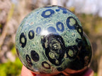 Polished Stromatolite "Kambaba Jasper" Mushrooms x 6 From Katsepy, Madagascar - Toprock Gemstones and Minerals 