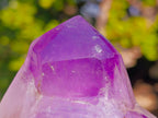 Polished Mixed Window Amethyst Crystals x 6 From Akansobe, Madagascar - Toprock Gemstones and Minerals 