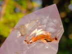 Polished Mixed Window Amethyst Crystals x 6 From Akansobe, Madagascar - Toprock Gemstones and Minerals 