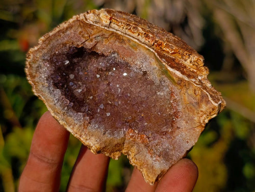 Natural Zululand Amethyst Agate Geodes x 14 From Jozini, South Africa - Toprock Gemstones and Minerals 