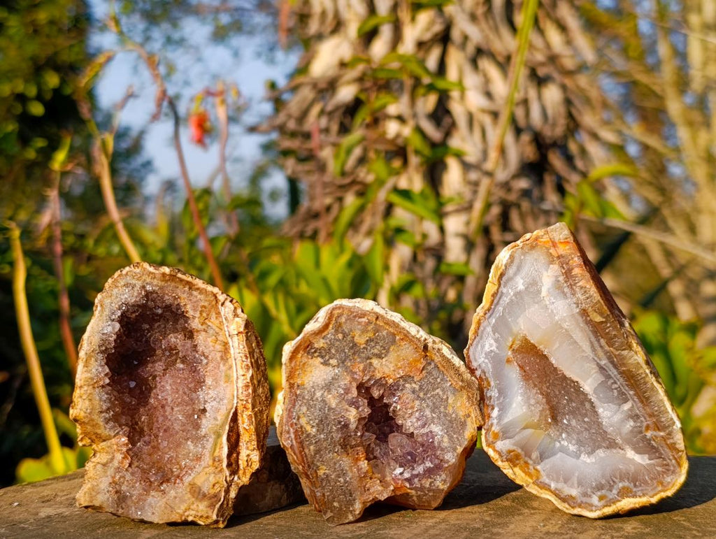 Natural Zululand Amethyst Agate Geodes x 14 From Jozini, South Africa - Toprock Gemstones and Minerals 