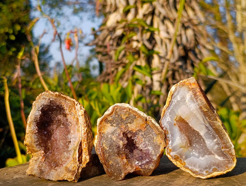 Natural Zululand Amethyst Agate Geodes x 14 From Jozini, South Africa - Toprock Gemstones and Minerals 