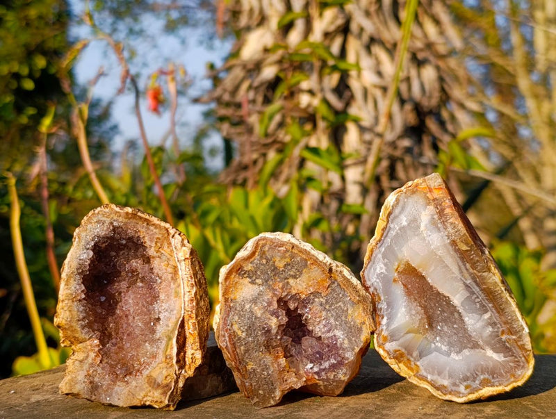 Natural Zululand Amethyst Agate Geodes x 14 From Jozini, South Africa - Toprock Gemstones and Minerals 