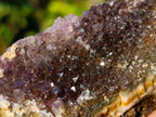 Natural Zululand Amethyst Agate Geodes x 14 From Jozini, South Africa - Toprock Gemstones and Minerals 