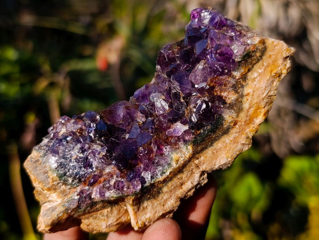Natural Zululand Amethyst Agate Geodes x 14 From Jozini, South Africa - Toprock Gemstones and Minerals 