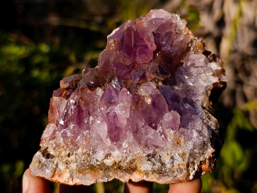 Natural Zululand Amethyst Agate Geodes x 14 From Jozini, South Africa - Toprock Gemstones and Minerals 