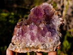 Natural Zululand Amethyst Agate Geodes x 14 From Jozini, South Africa - Toprock Gemstones and Minerals 