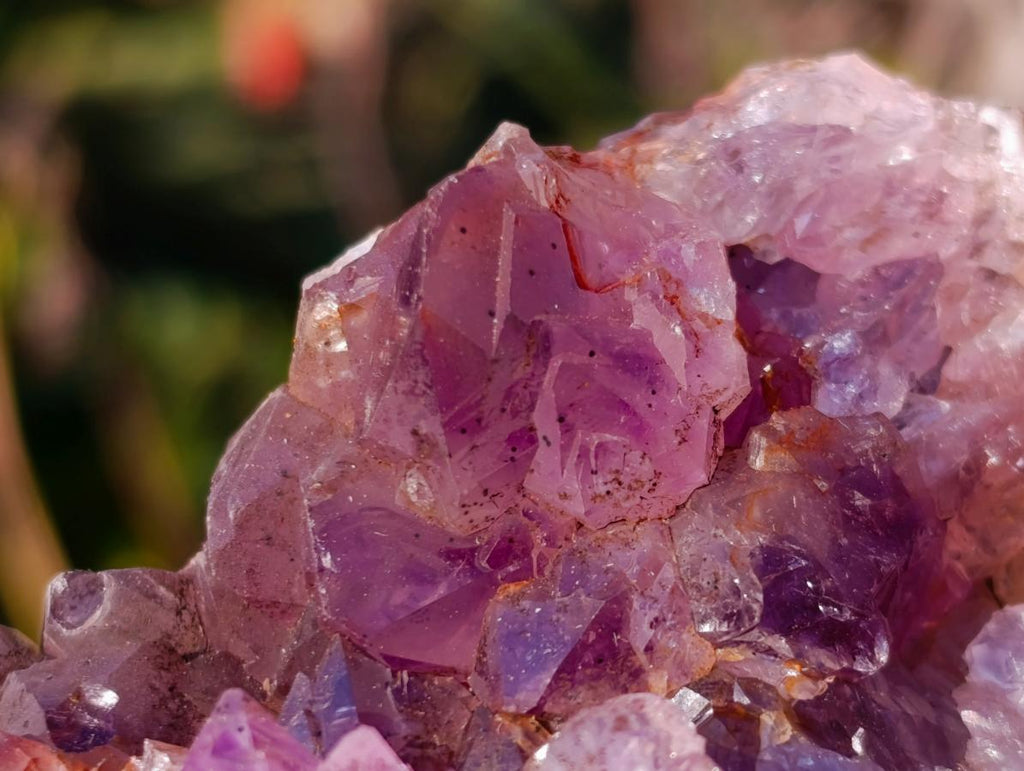 Natural Zululand Amethyst Agate Geodes x 14 From Jozini, South Africa - Toprock Gemstones and Minerals 
