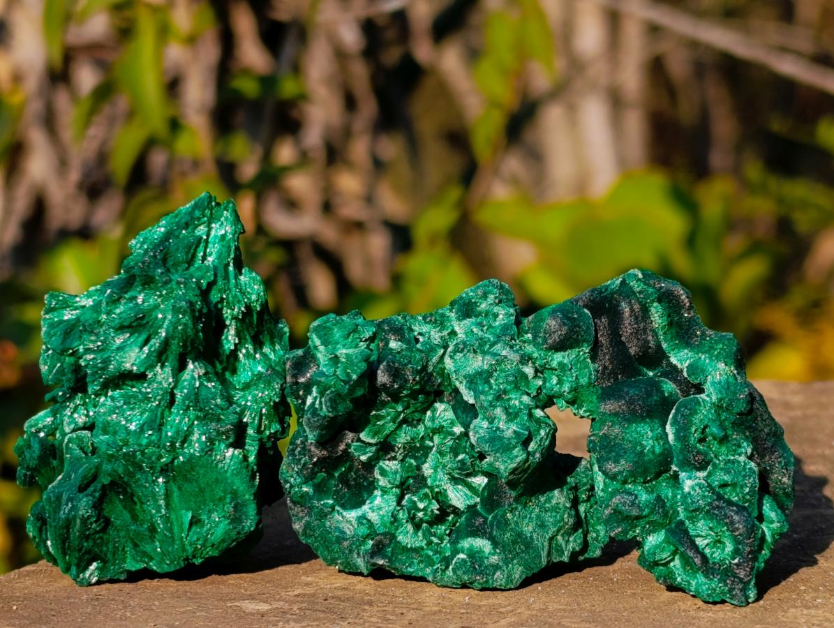 Natural Silky Malachite Specimens x 24 From Kasompe, Congo - Toprock Gemstones and Minerals 