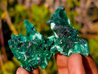 Natural Silky Malachite Specimens x 24 From Kasompe, Congo - Toprock Gemstones and Minerals 