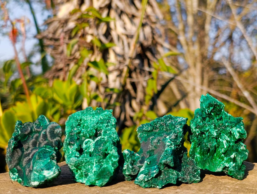 Natural Silky Malachite Specimens x 24 From Kasompe, Congo - Toprock Gemstones and Minerals 