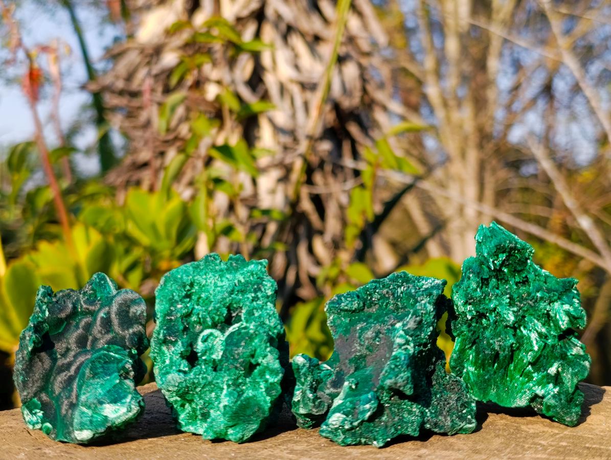 Natural Silky Malachite Specimens x 24 From Kasompe, Congo - Toprock Gemstones and Minerals 