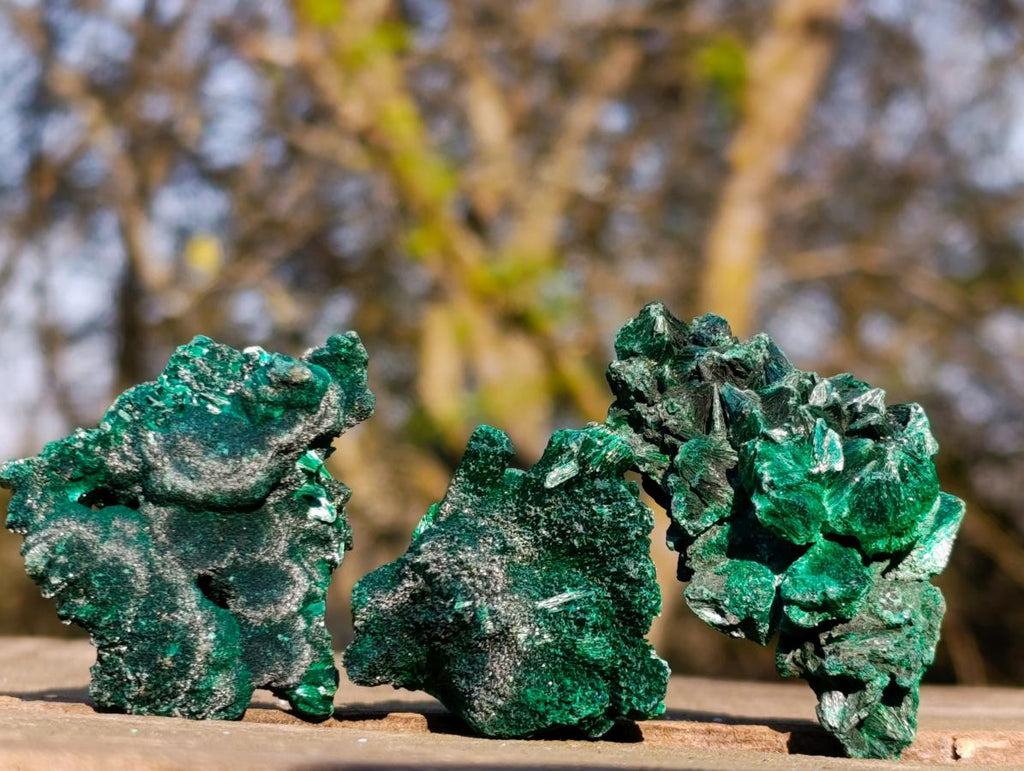 Natural Silky Malachite Specimens x 24 From Kasompe, Congo - Toprock Gemstones and Minerals 