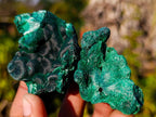 Natural Silky Malachite Specimens x 24 From Kasompe, Congo - Toprock Gemstones and Minerals 