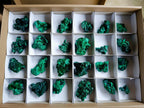 Natural Silky Malachite Specimens x 24 From Kasompe, Congo - Toprock Gemstones and Minerals 