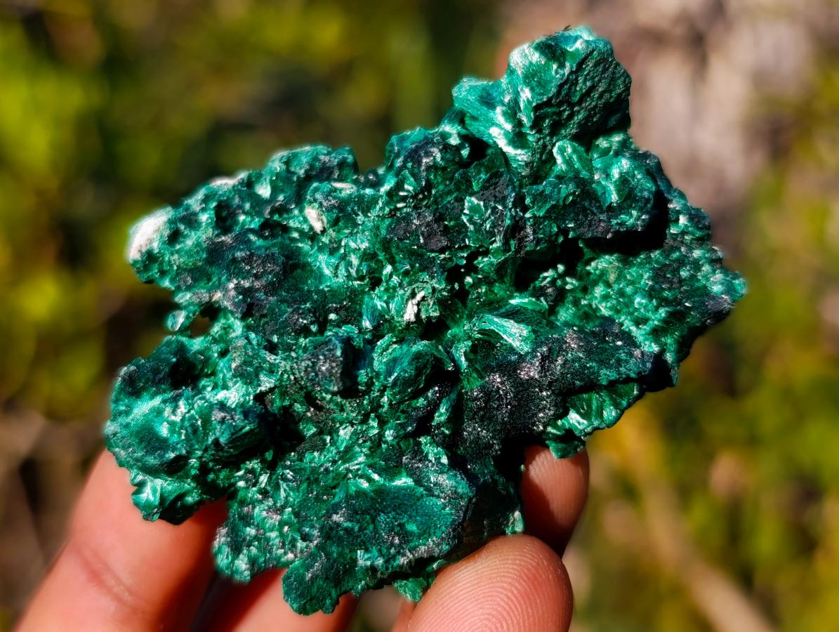 Natural Silky Malachite Specimens x 24 From Kasompe, Congo - Toprock Gemstones and Minerals 
