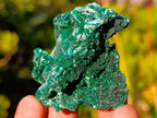 Natural Silky Malachite Specimens x 24 From Kasompe, Congo - Toprock Gemstones and Minerals 