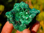 Natural Silky Malachite Specimens x 24 From Kasompe, Congo - Toprock Gemstones and Minerals 