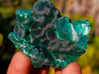 Natural Silky Malachite Specimens x 24 From Kasompe, Congo - Toprock Gemstones and Minerals 