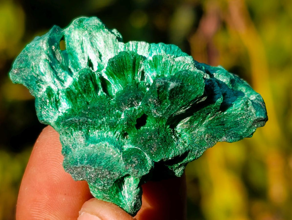 Natural Silky Malachite Specimens x 24 From Kasompe, Congo - Toprock Gemstones and Minerals 
