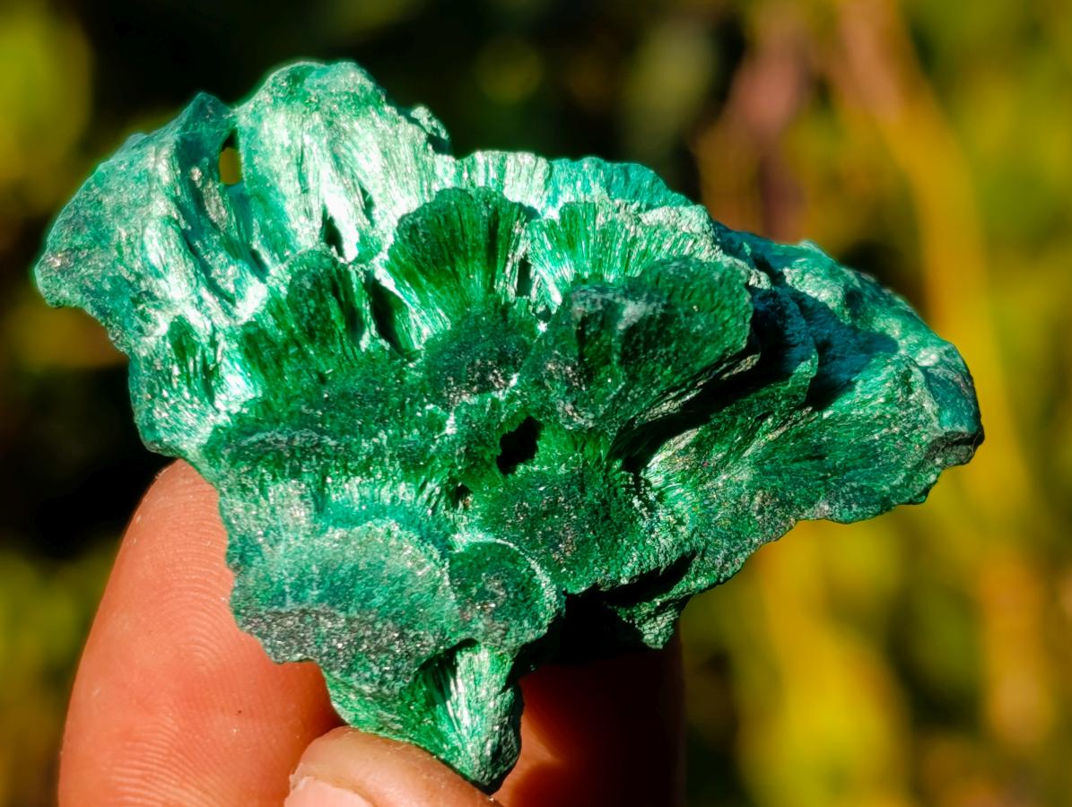 Natural Silky Malachite Specimens x 24 From Kasompe, Congo - Toprock Gemstones and Minerals 