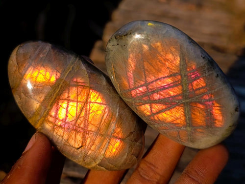 Polished Rare Purple Sunset Flash Labradorite Palm Stones x 12 From Madagascar - Toprock Gemstones and Minerals 