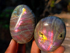 Polished Rare Purple Sunset Flash Labradorite Palm Stones x 12 From Madagascar - Toprock Gemstones and Minerals 