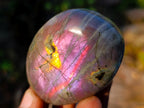 Polished Rare Purple Sunset Flash Labradorite Palm Stones x 12 From Madagascar - Toprock Gemstones and Minerals 