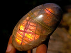 Polished Rare Purple Sunset Flash Labradorite Palm Stones x 12 From Madagascar - Toprock Gemstones and Minerals 