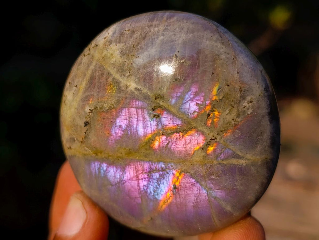 Polished Rare Purple Sunset Flash Labradorite Palm Stones x 12 From Madagascar - Toprock Gemstones and Minerals 