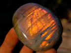 Polished Rare Purple Sunset Flash Labradorite Palm Stones x 12 From Madagascar - Toprock Gemstones and Minerals 