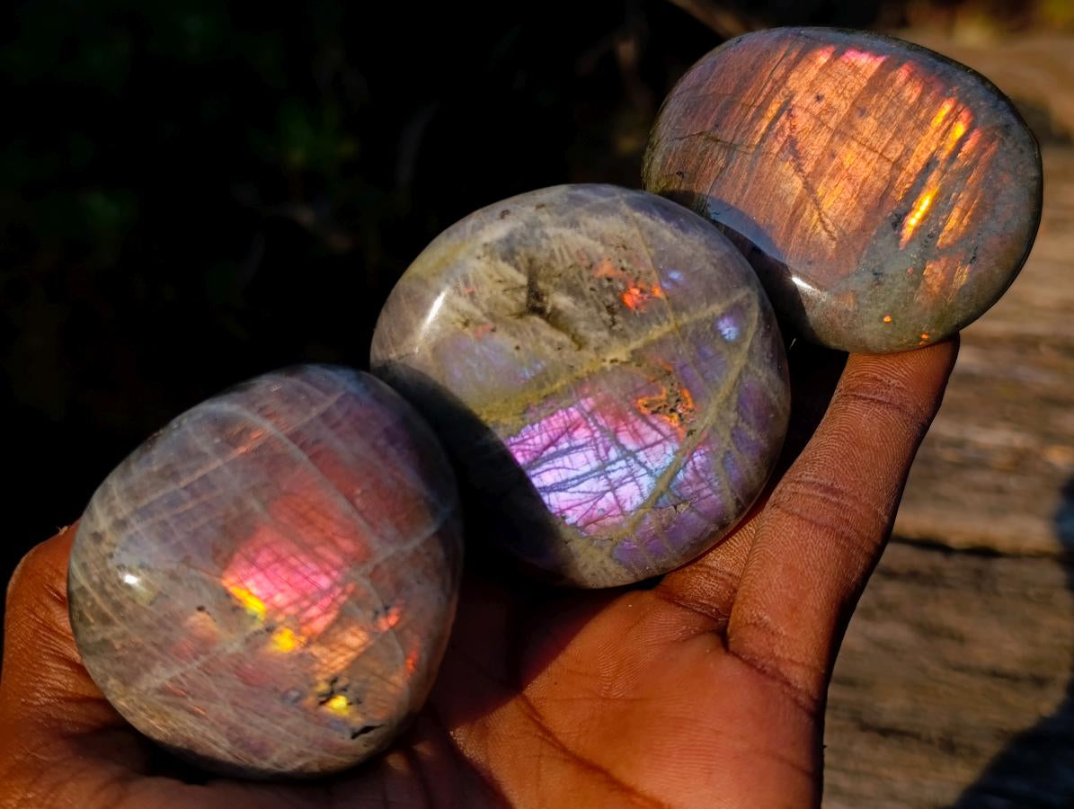 Polished Rare Purple Sunset Flash Labradorite Palm Stones x 12 From Madagascar - Toprock Gemstones and Minerals 