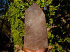 Polished Large Smokey Quartz Crystal x 1 From Madagascar - Toprock Gemstones and Minerals 